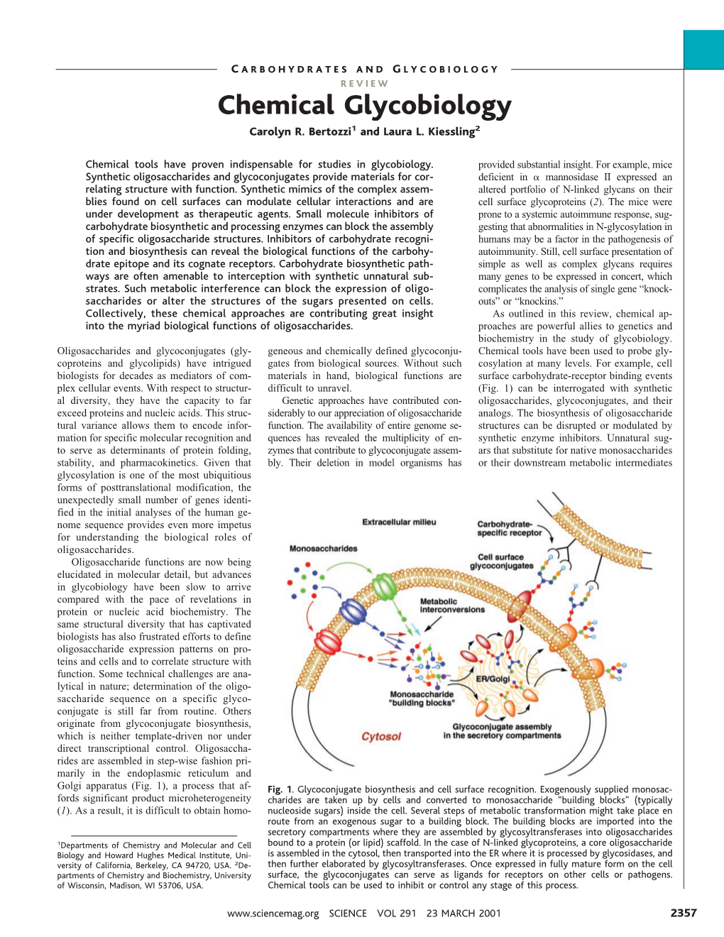 Chemical Glycobiology Carolyn R