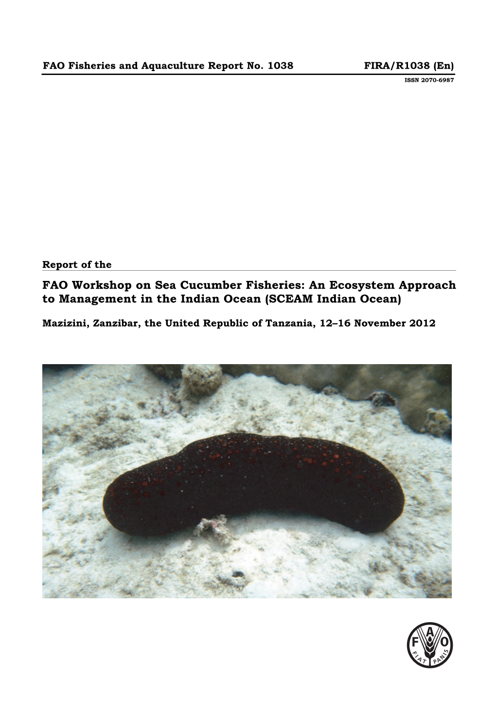 Sea Cucumber Fisheries: an Ecosystem Approach to Management in the Indian Ocean (SCEAM Indian Ocean)
