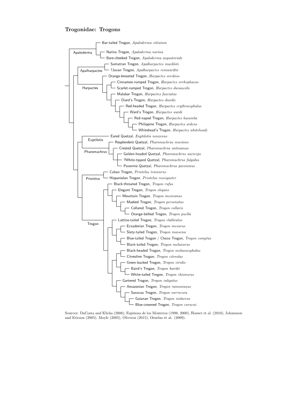 Trogonidae Species Tree