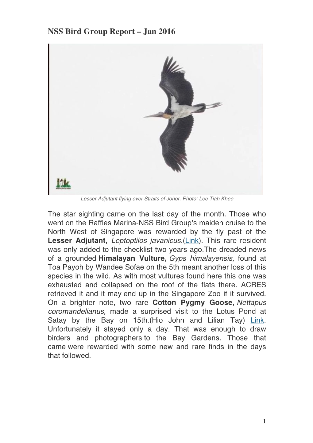 NSS Bird Group Report – Jan 2016