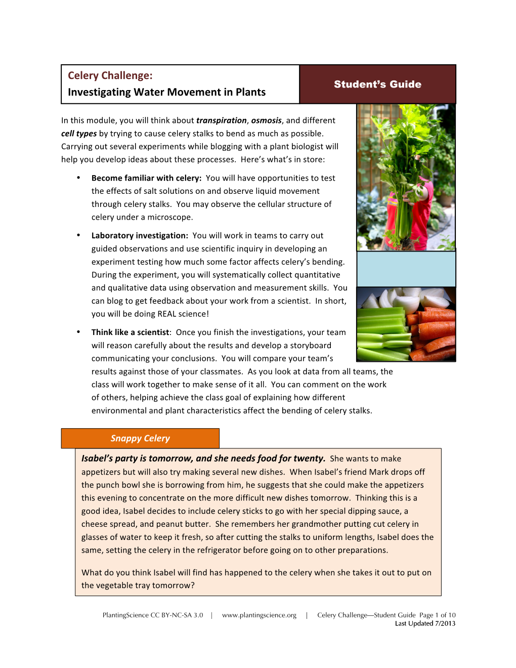 Celery Challenge: Investigating Water Movement in Plants