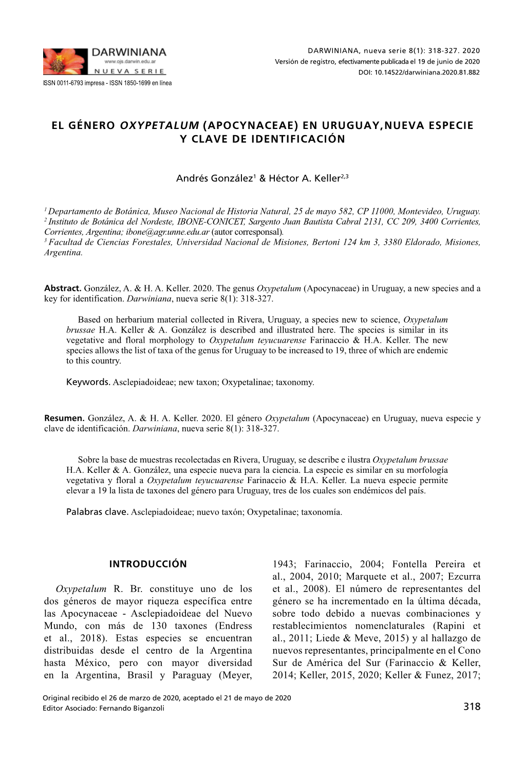 El Género Oxypetalum (Apocynaceae) En Uruguay, Nueva Especie Y Clave De Identificación