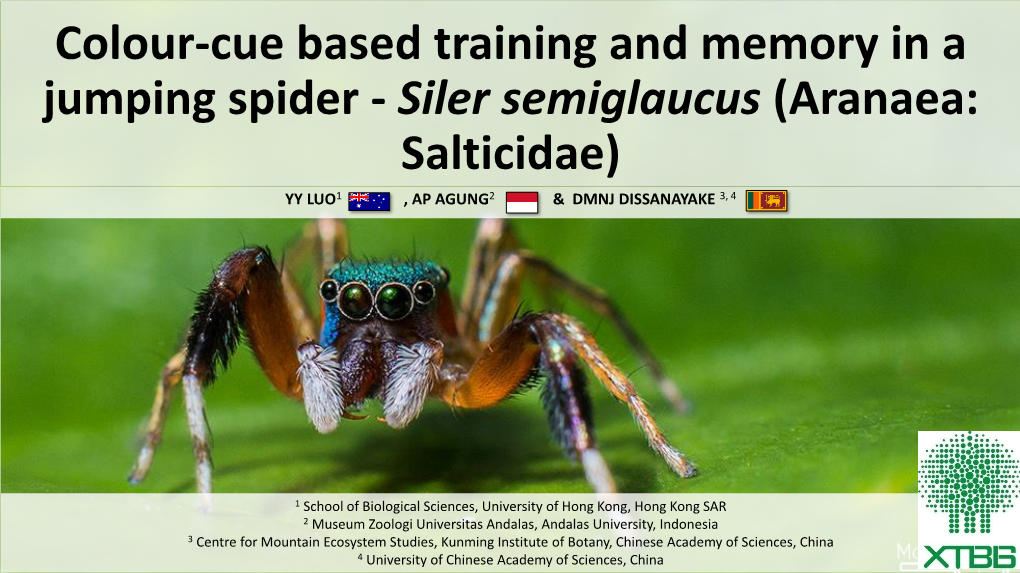 Colour-Cue Based Training and Memory in a Jumping Spider - Siler Semiglaucus (Aranaea: Salticidae) YY LUO1 , AP AGUNG2 & DMNJ DISSANAYAKE 3, 4