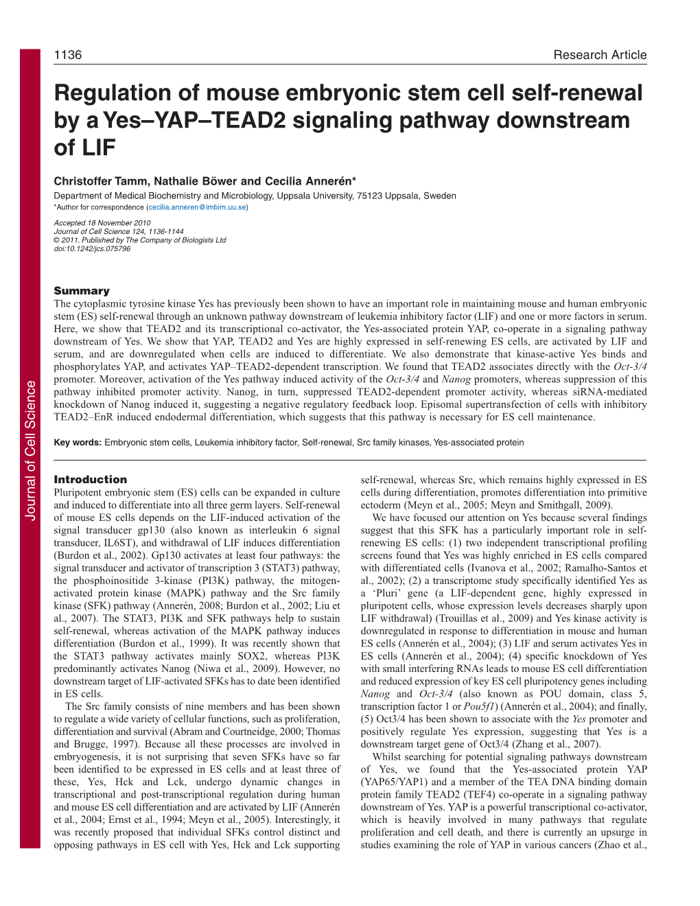 Regulation of Mouse Embryonic Stem Cell Self-Renewal by a Yes–YAP–TEAD2 Signaling Pathway Downstream of LIF