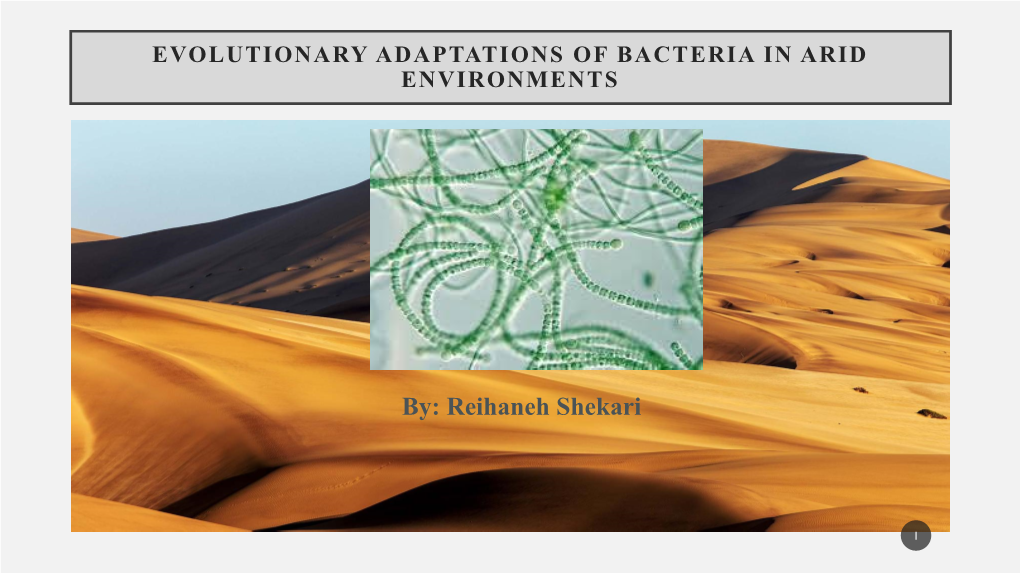 Evolutionary Adaptations of Bacteria in Arid Environments