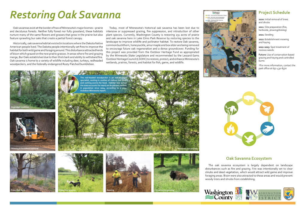 Oak Savanna Restoration