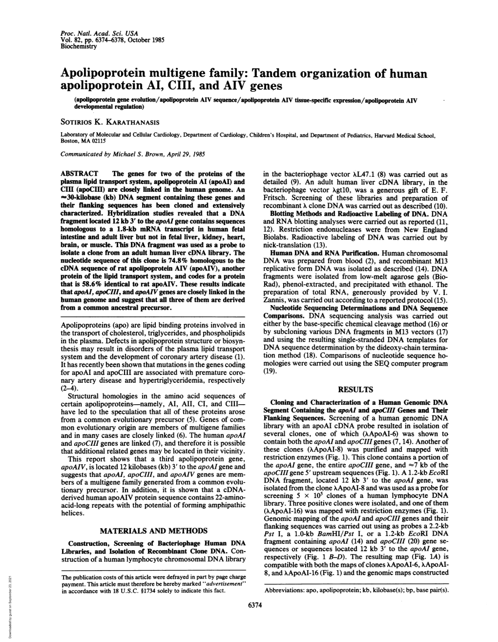 Apolipoprotein Multigene Family: Tandem Organization of Human