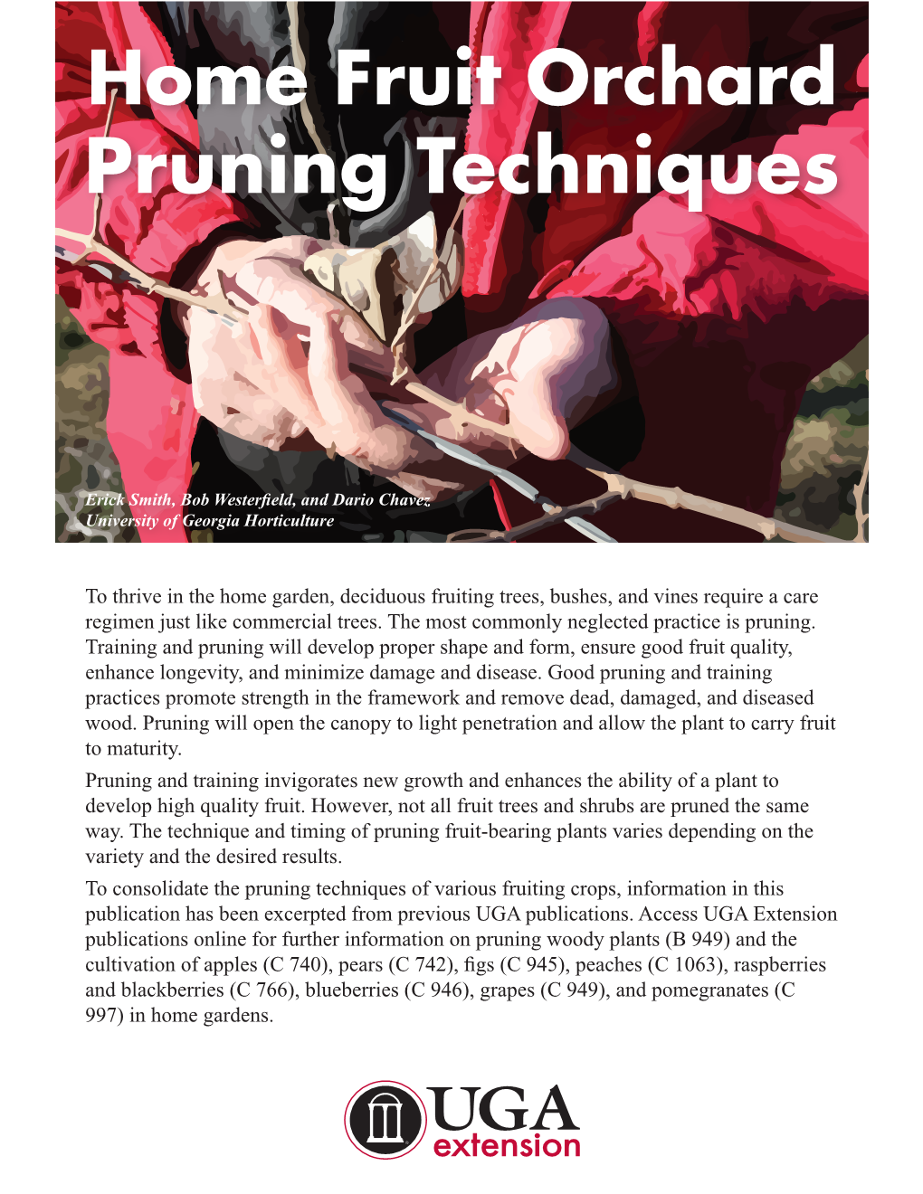 Home Fruit Orchard Pruning Techniques