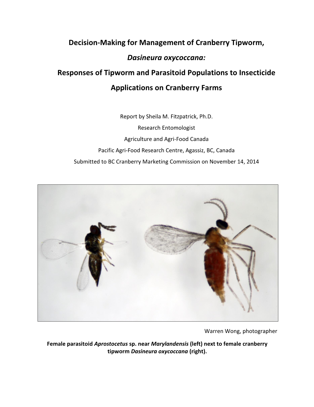 Responses of Tipworm and Parasitoid Populations to Insecticide Applications on Cranberry Farms