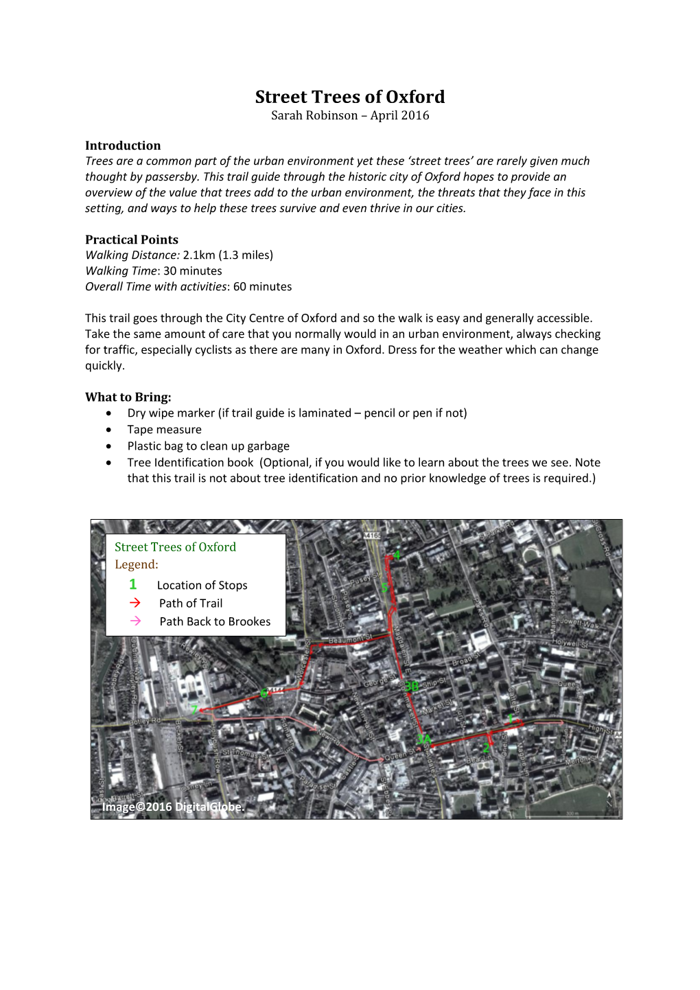 Street Trees of Oxford Sarah Robinson – April 2016