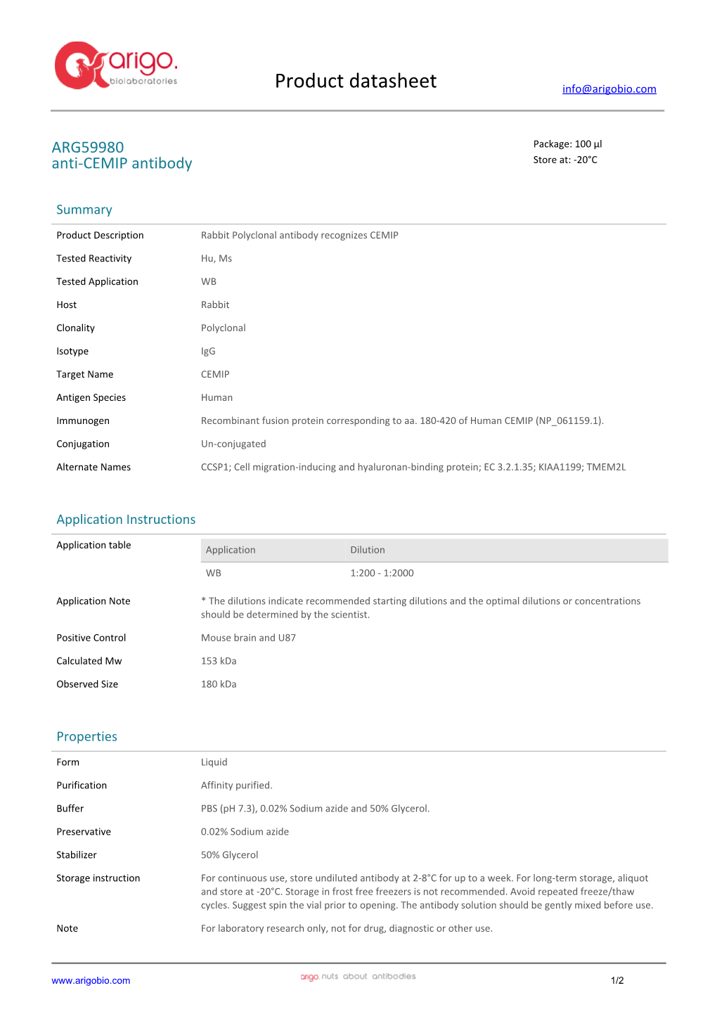 Anti-CEMIP Antibody (ARG59980)