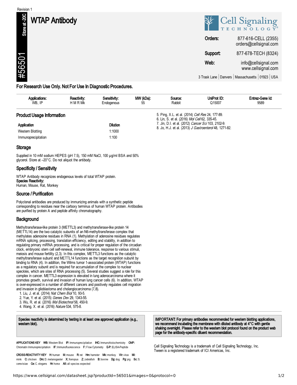 56501 WTAP Antibody