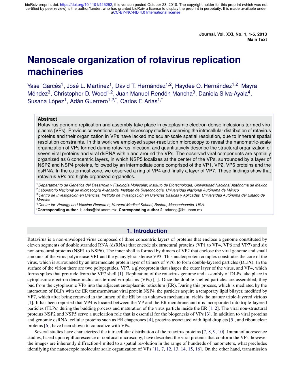 Nanoscale Organization of Rotavirus Replication Machineries