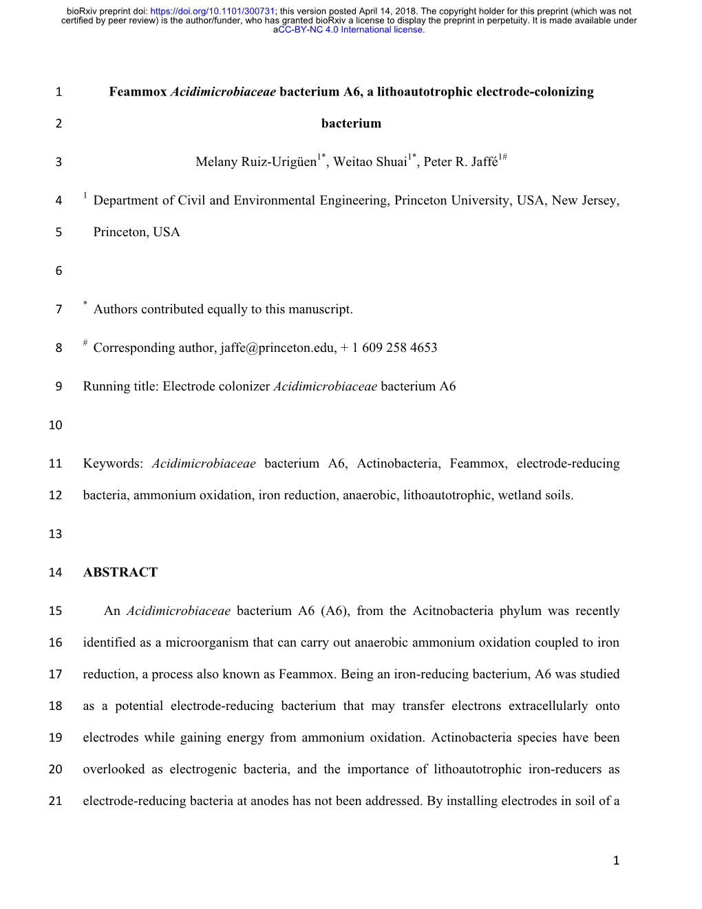 Feammox Acidimicrobiaceae Bacterium A6, a Lithoautotrophic Electrode-Colonizing