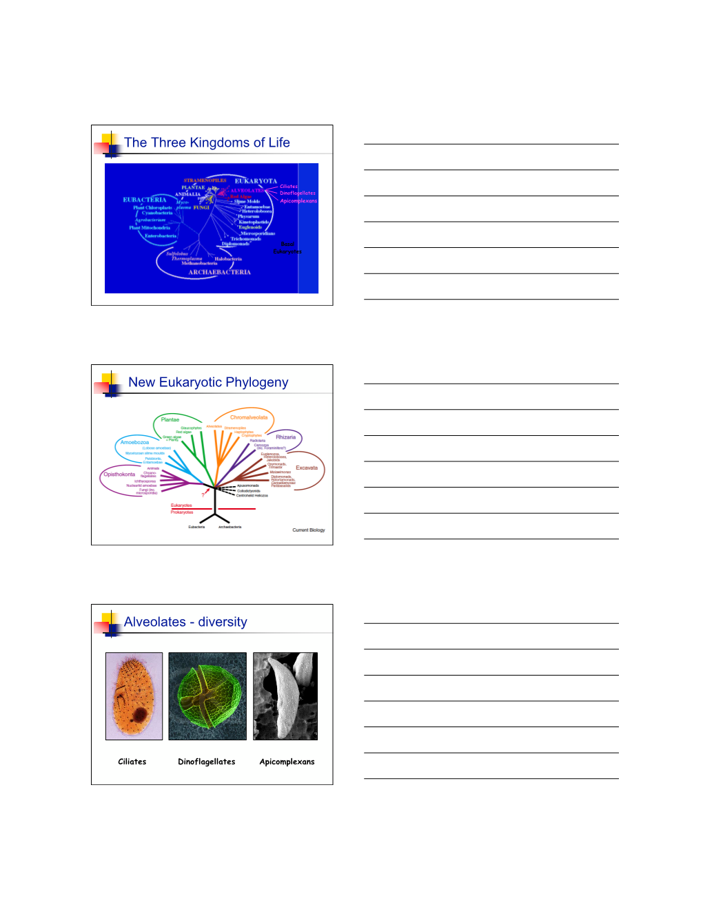 The Three Kingdoms of Life New Eukaryotic Phylogeny Alveolates