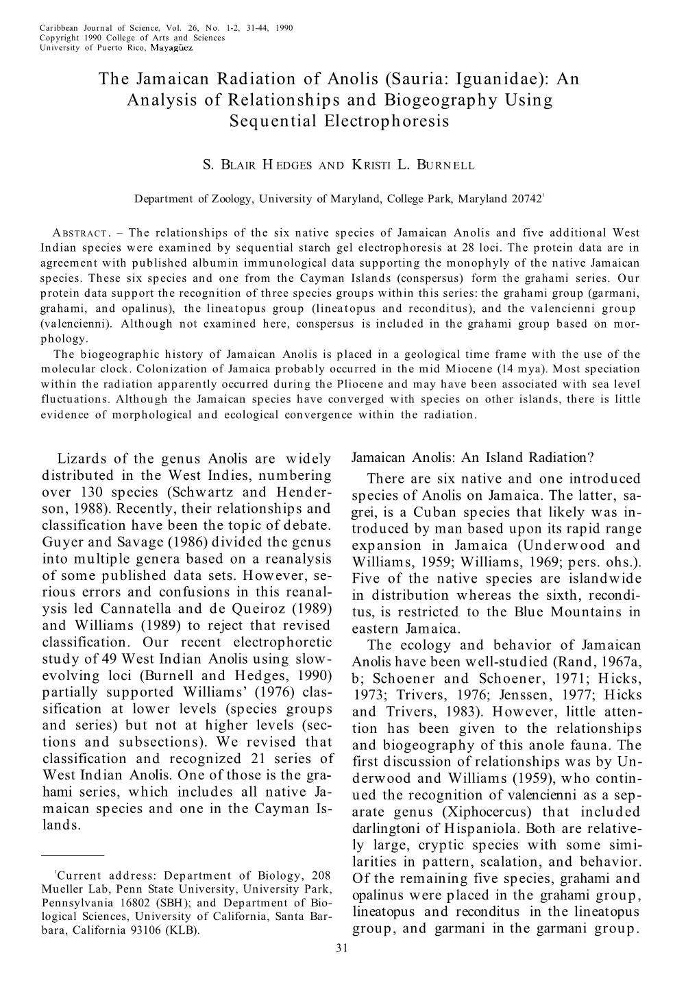 The Jamaican Radiation of Anolis (Sauria: Iguanidae): an Analysis of Relationships and Biogeography Using Sequential Electrophoresis