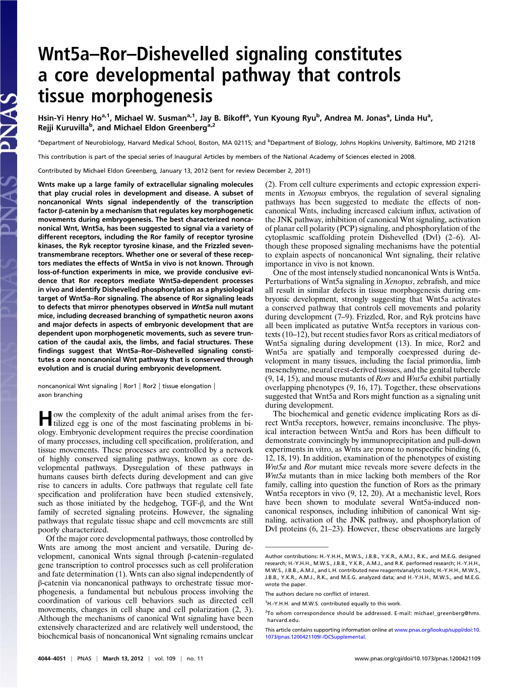 Wnt5a–Ror–Dishevelled Signaling Constitutes a Core Developmental Pathway That Controls Tissue Morphogenesis