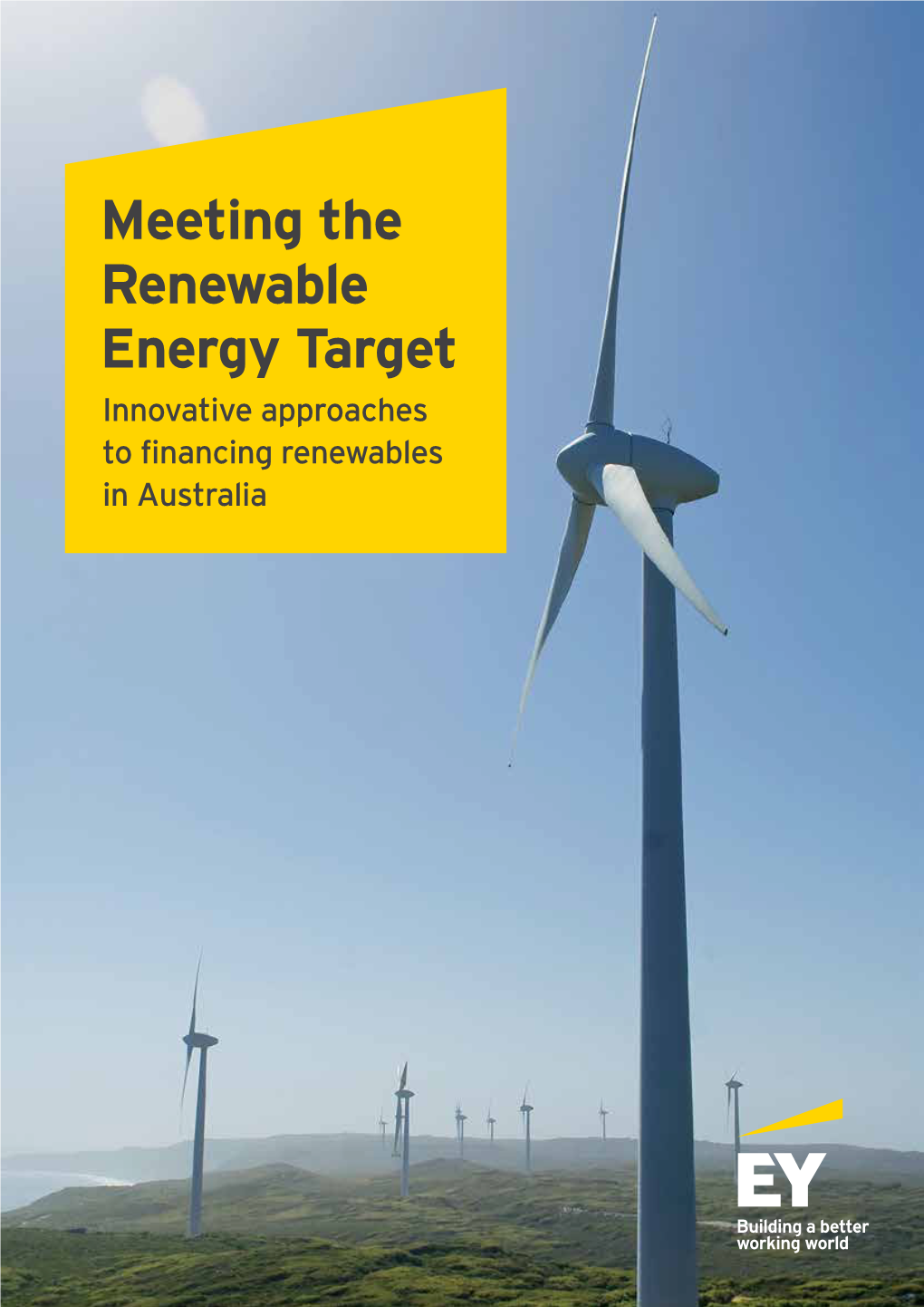 Meeting the Renewable Energy Target