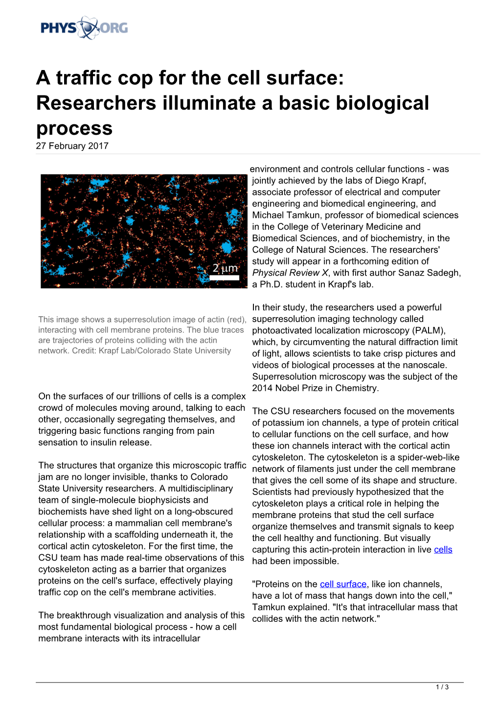 A Traffic Cop for the Cell Surface: Researchers Illuminate a Basic Biological Process 27 February 2017