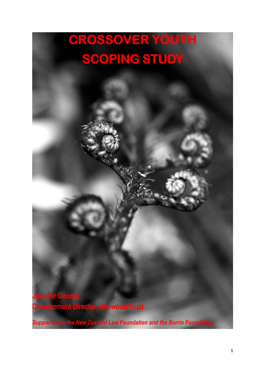 Crossover Youth Scoping Study April 2020