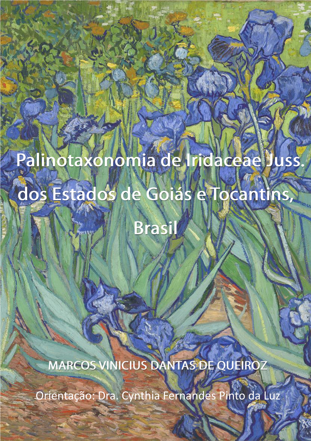Palinotaxonomia De Iridaceae Juss. Dos Estados De Goiás E Tocantins, Brasil