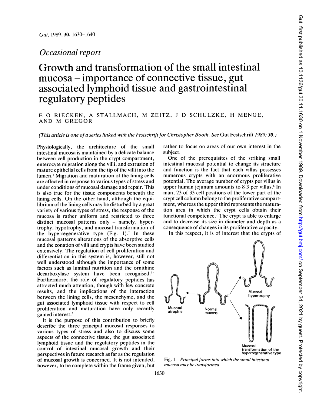 Associated Lymphoid Tissue and Gastrointestinal Regulatory Peptides