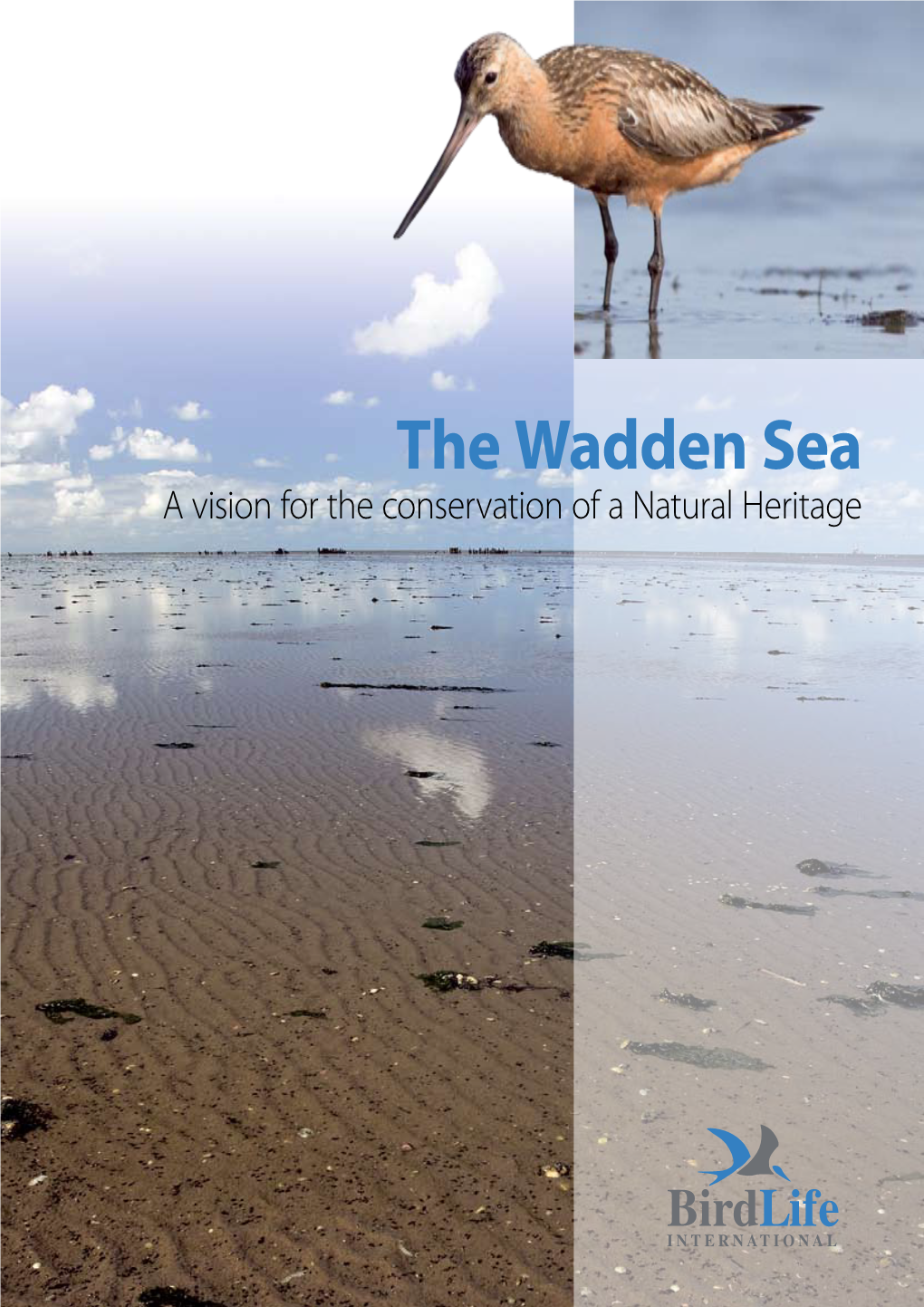 The Wadden Sea a Vision for the Conservation of a Natural Heritage