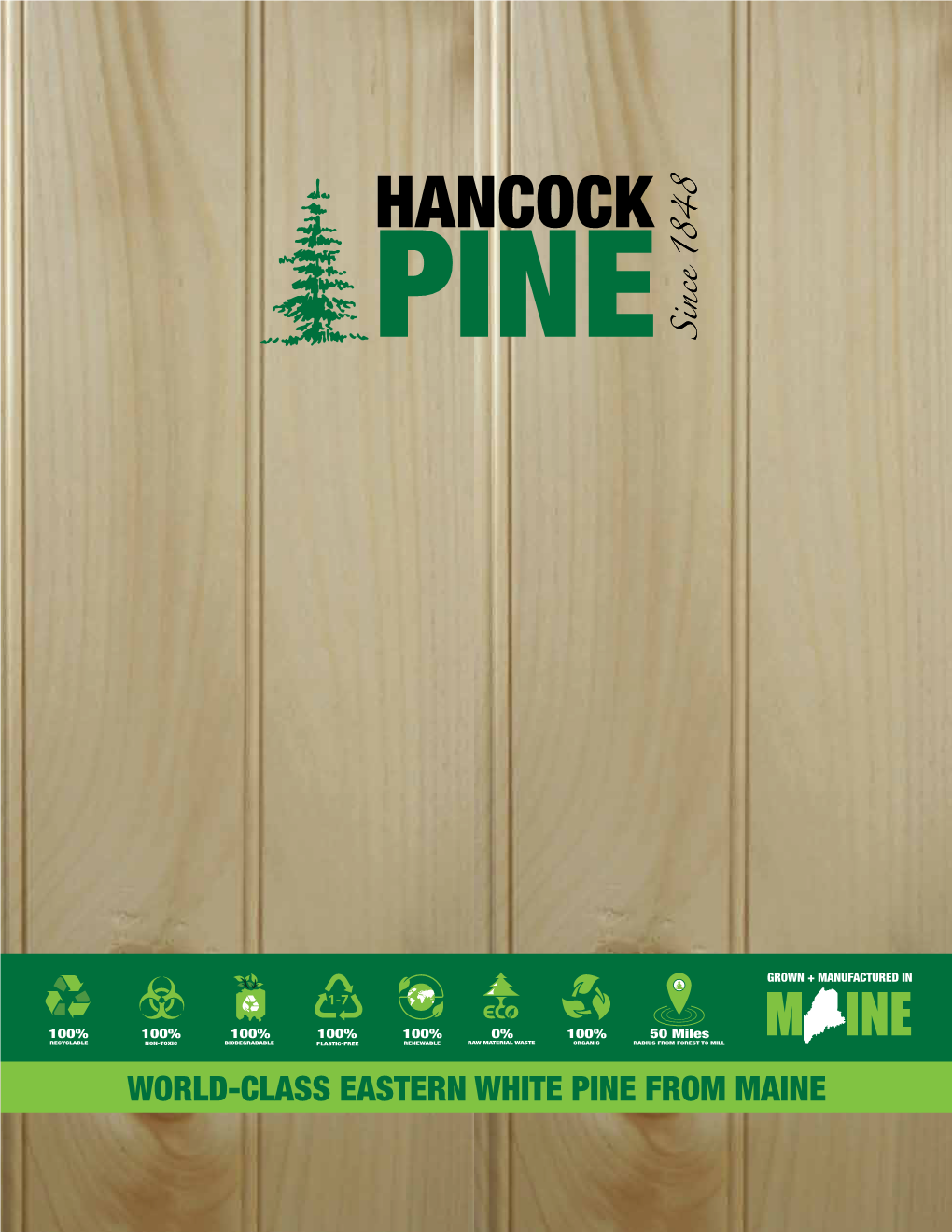 World-Class Eastern White Pine from Maine