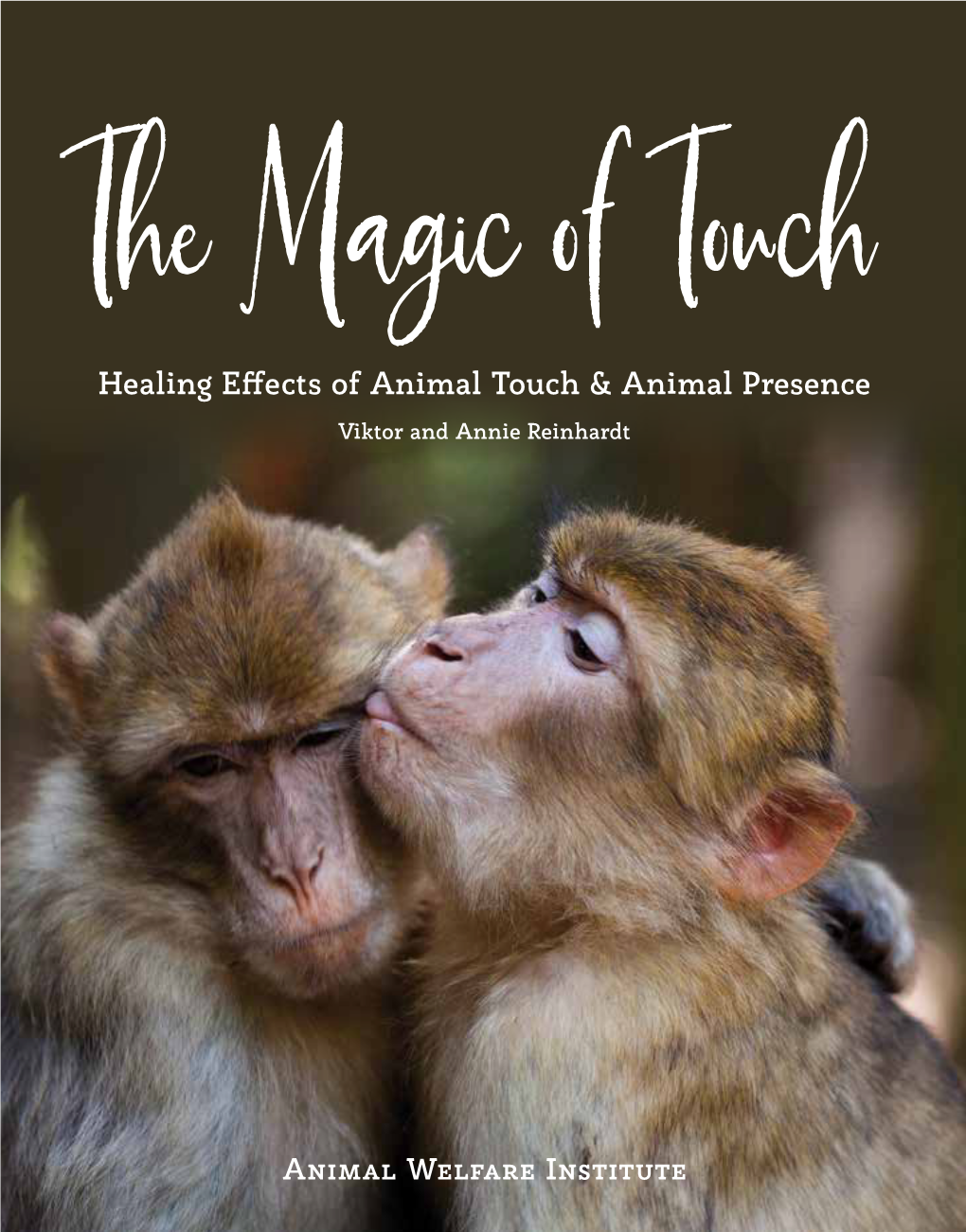 Healing Effects of Animal Touch & Animal Presence