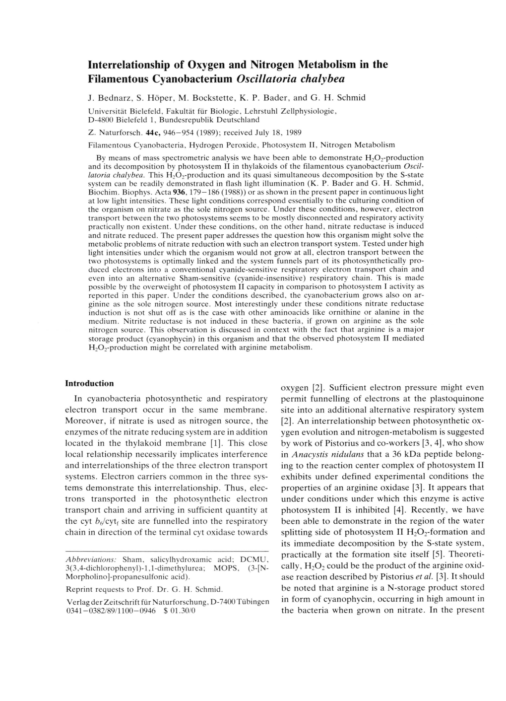 Interrelationship of Oxygen and Nitrogen Metabolism in the Filamentous Cyanobacterium Oscillatoria Chalybea