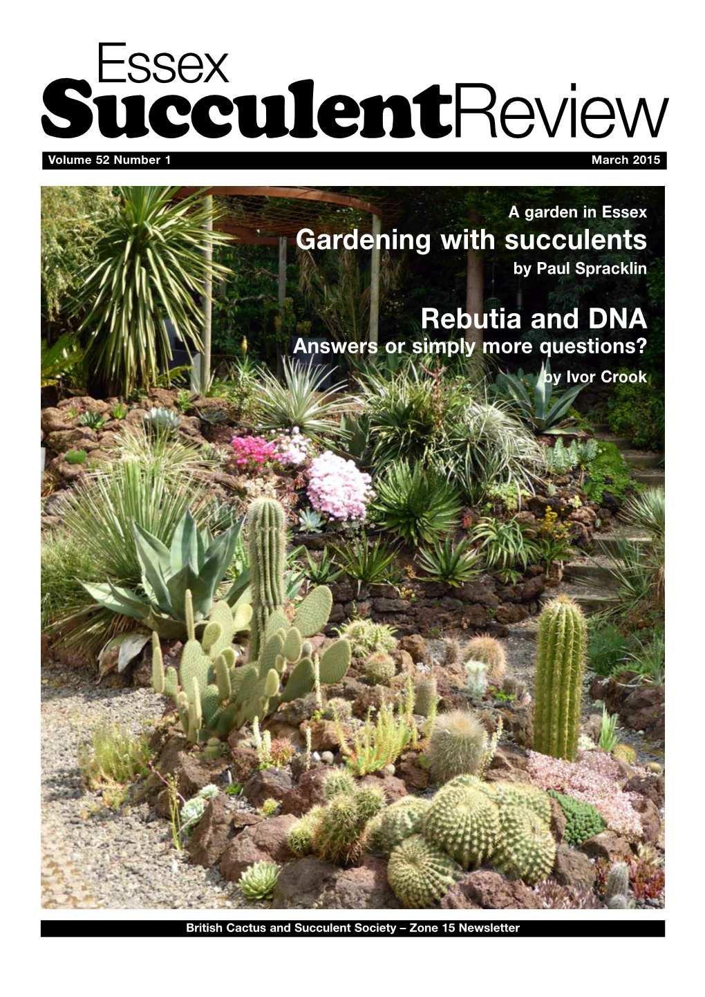 Gardening with Succulents Rebutia And