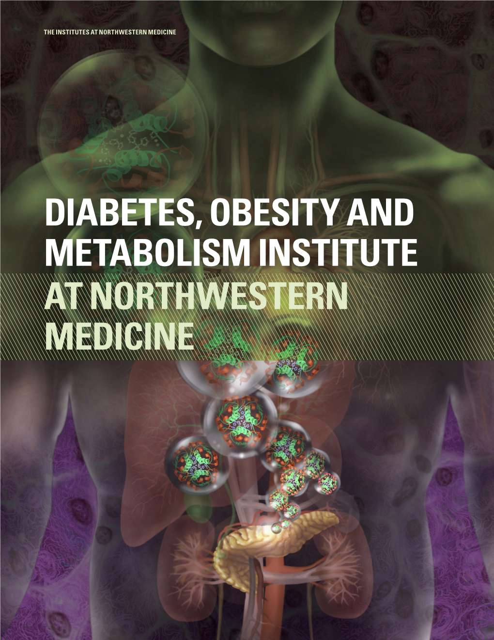 Diabetes, Obesity and Metabolism Institute at Northwestern Medicine the Institutes at Northwestern Medicine