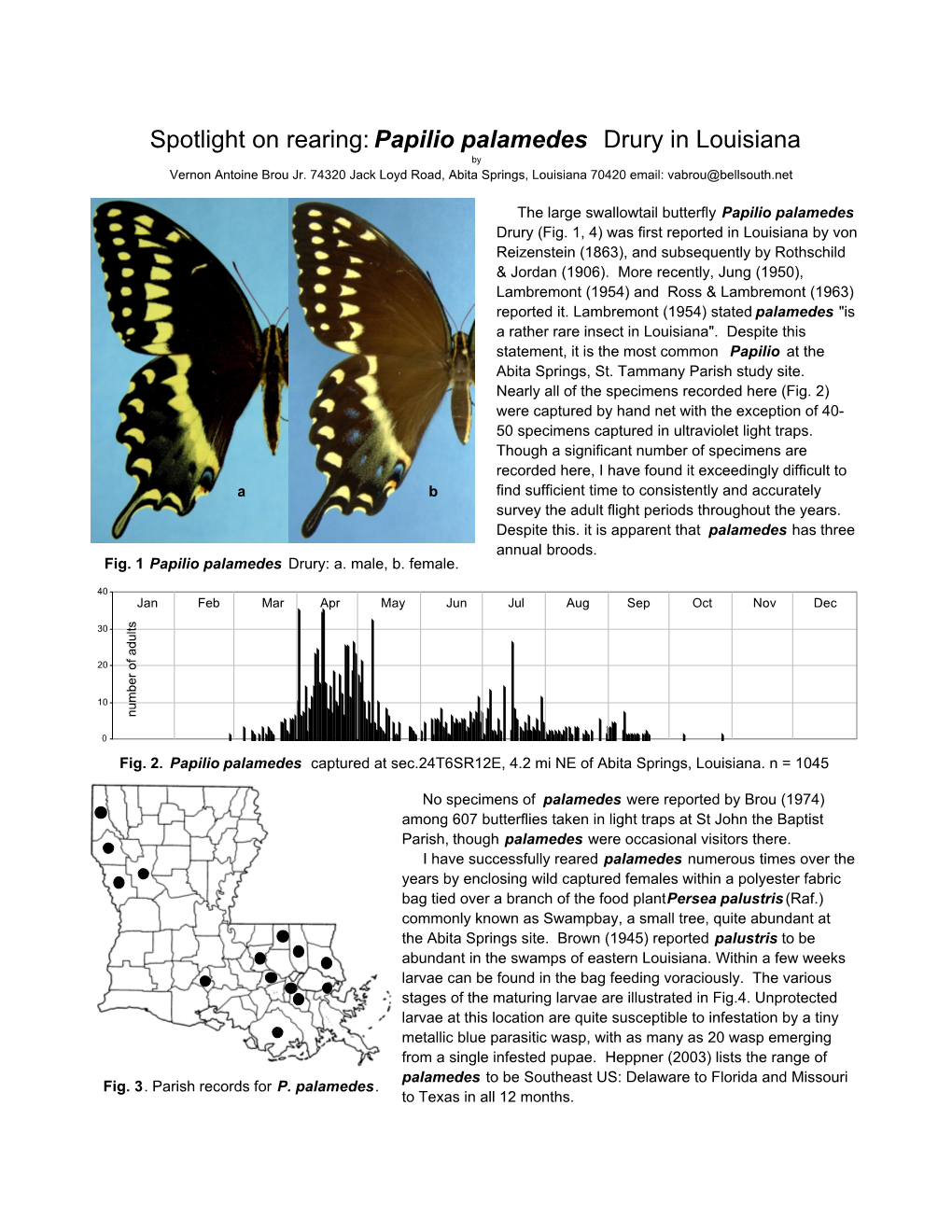Papilio Palamedes Drury in Louisiana by Vernon Antoine Brou Jr