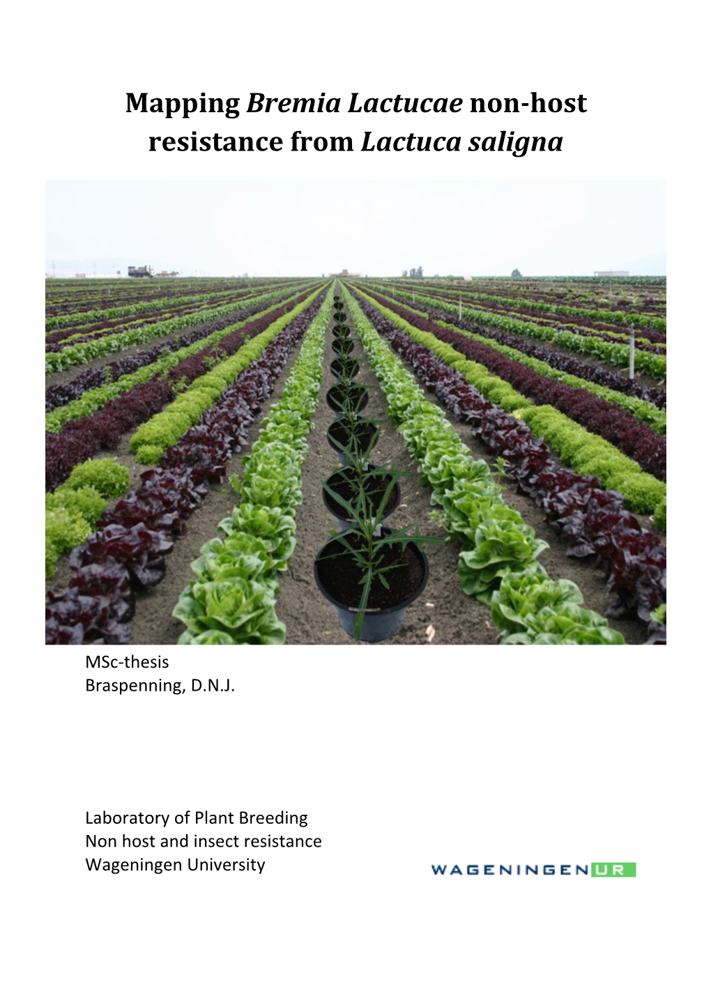 Mapping Bremia Lactucae Non-Host Resistance from Lactuca Saligna