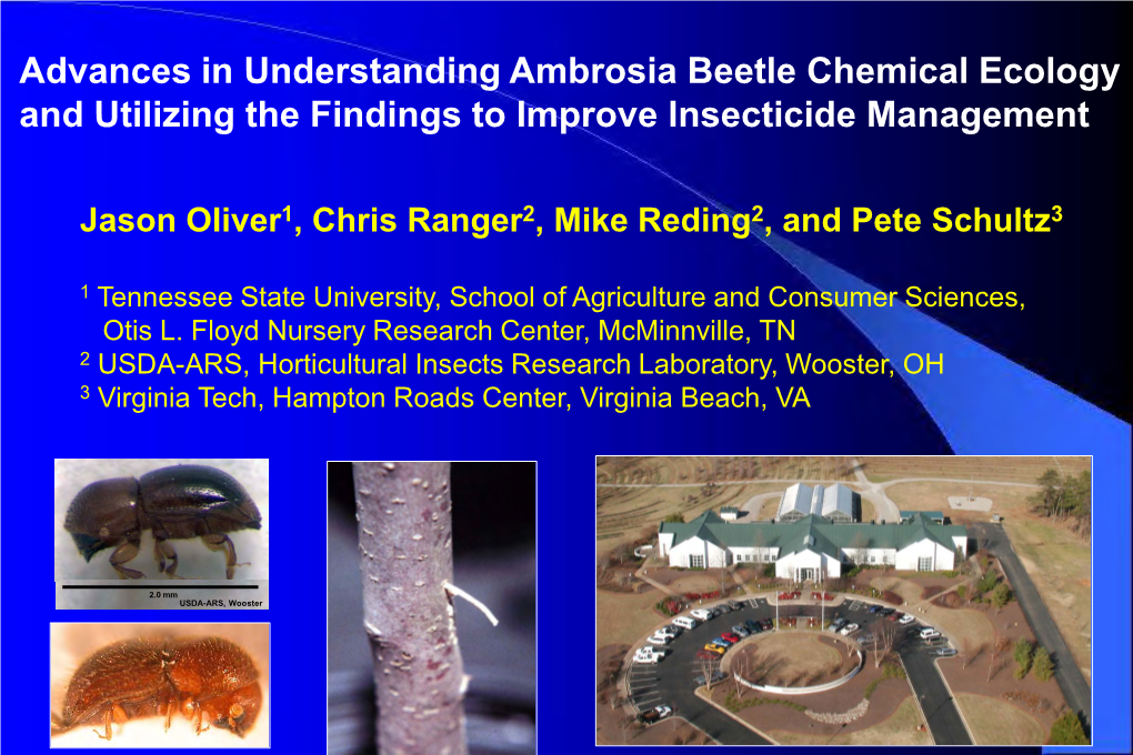 Ambrosia Beetle Chemical Ecology and Utilizing the Findings to Improve Insecticide Management