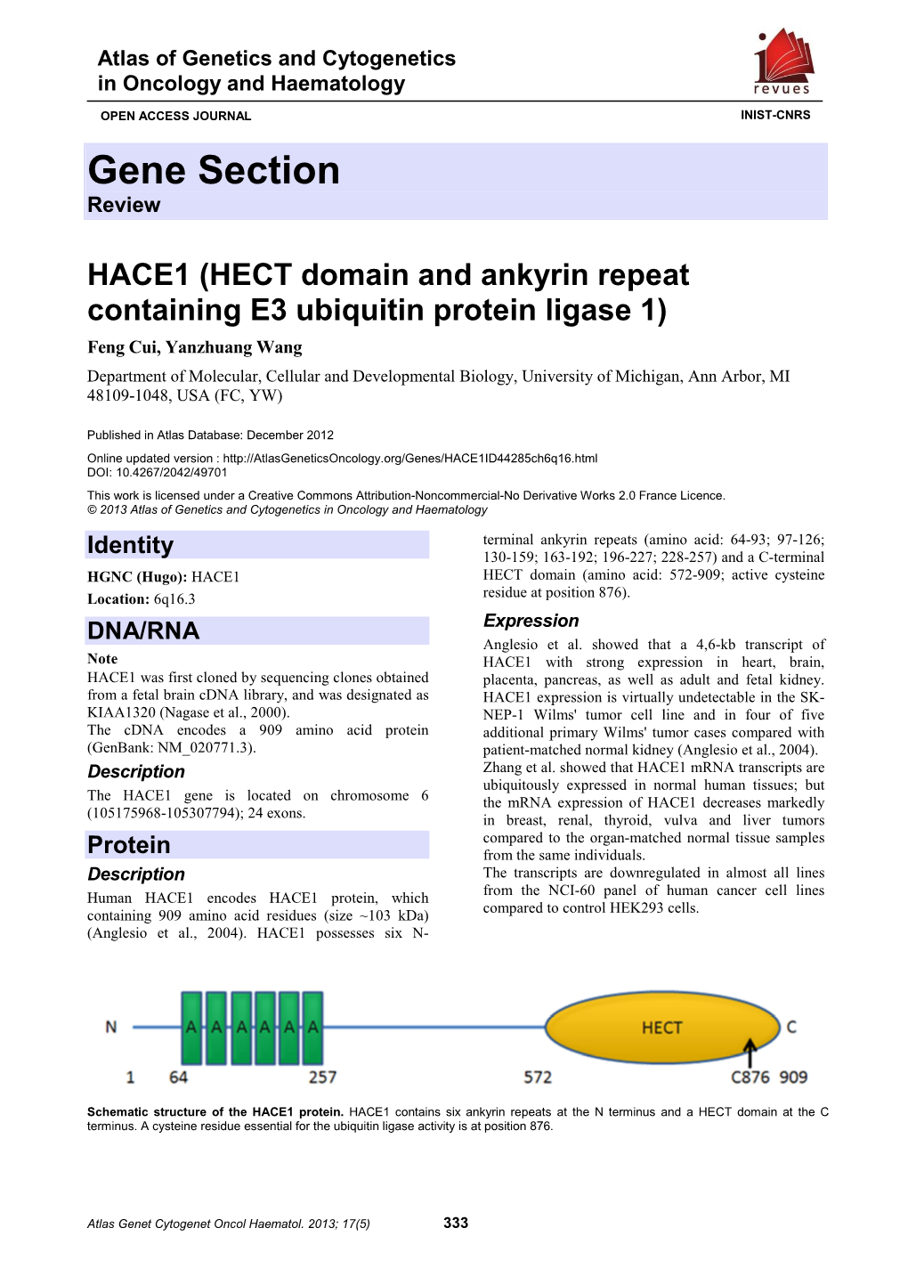 Gene Section Review