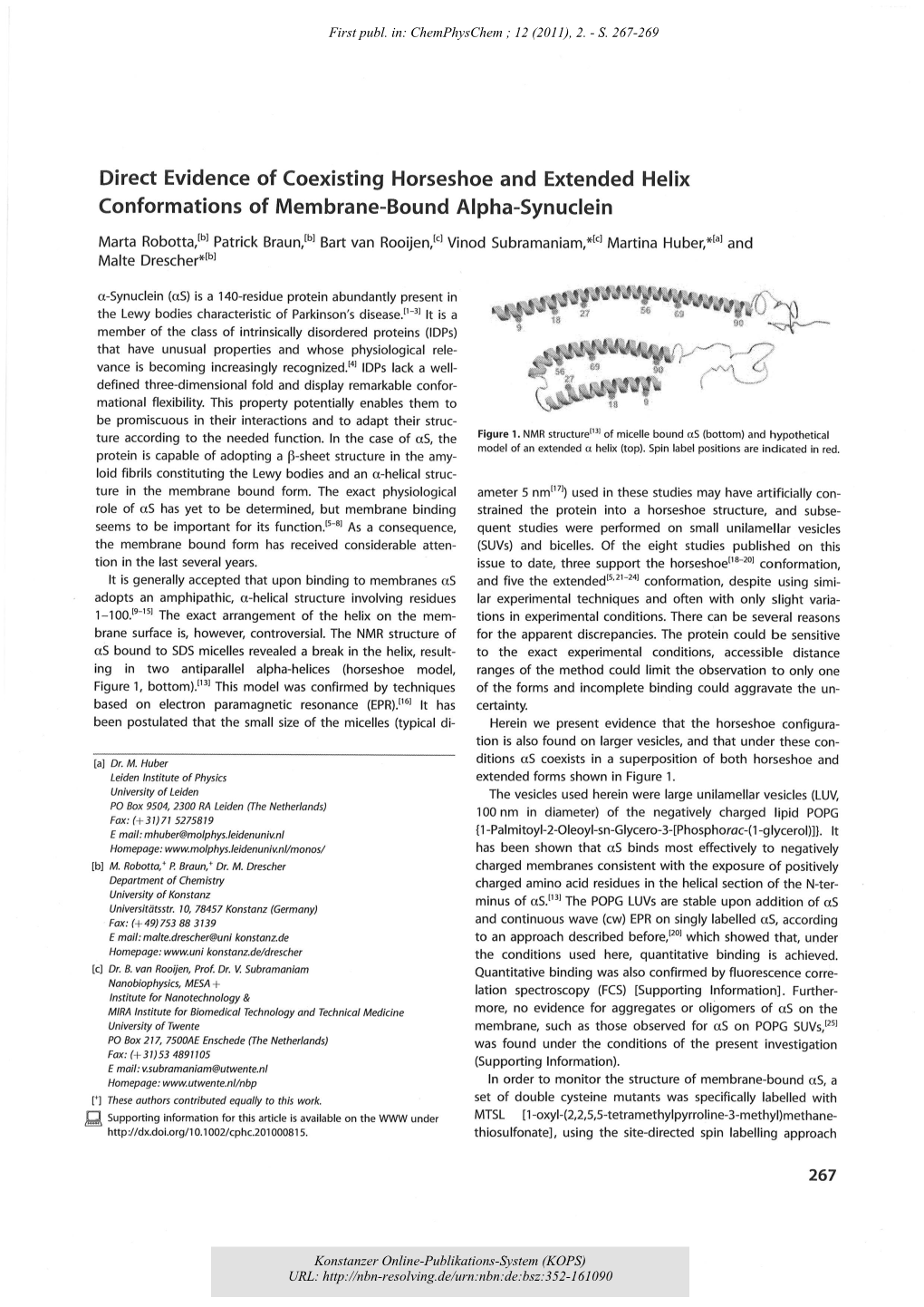 Direct Evidence of Coexisting Horseshoe and Extended Helix Conformations of Membrane-Bound Alphy-Synuclein