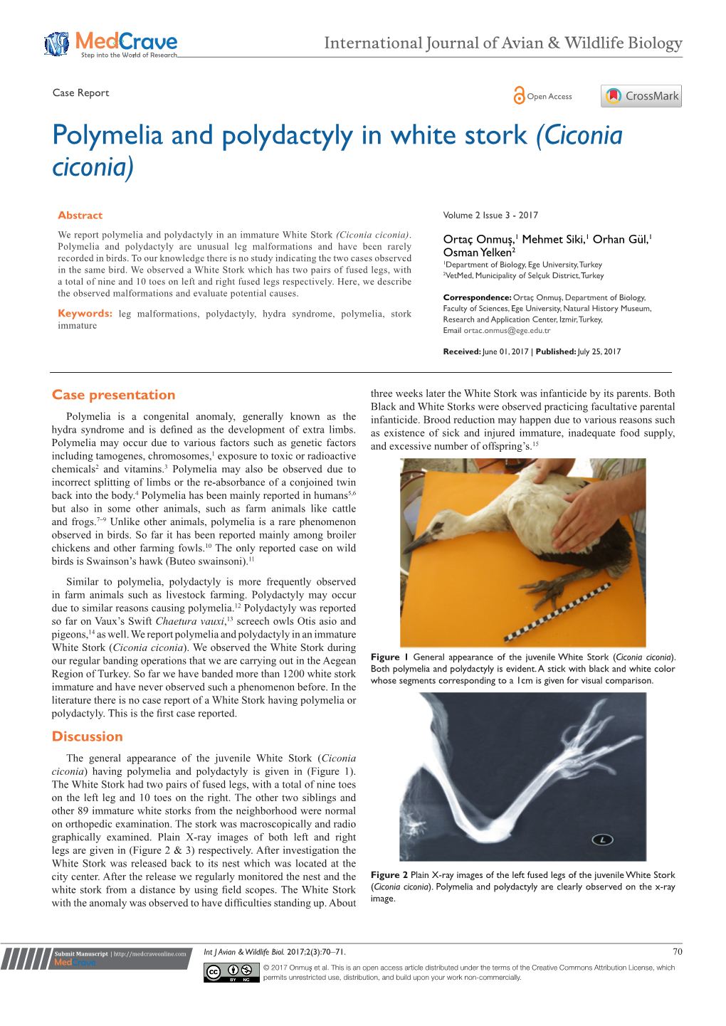 Polymelia and Polydactyly in White Stork (Ciconia Ciconia)