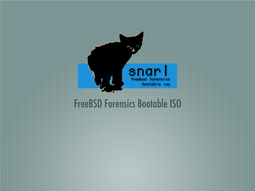 Freebsd Forensics Bootable ISO the Basics