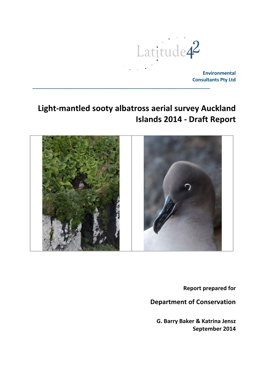 Light-Mantled Sooty Albatross Earial