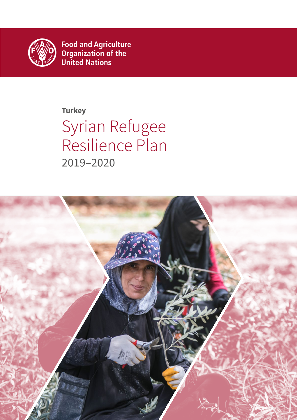 Turkey Syrian Refugee Resilience Plan 2019–2020