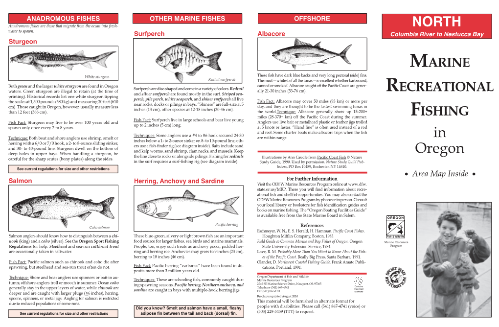 NORTH Surfperch Albacore Columbia River to Nestucca Bay Sturgeon MARINE White Sturgeon These Fish Have Dark Blue Backs and Very Long Pectoral (Side) Fins