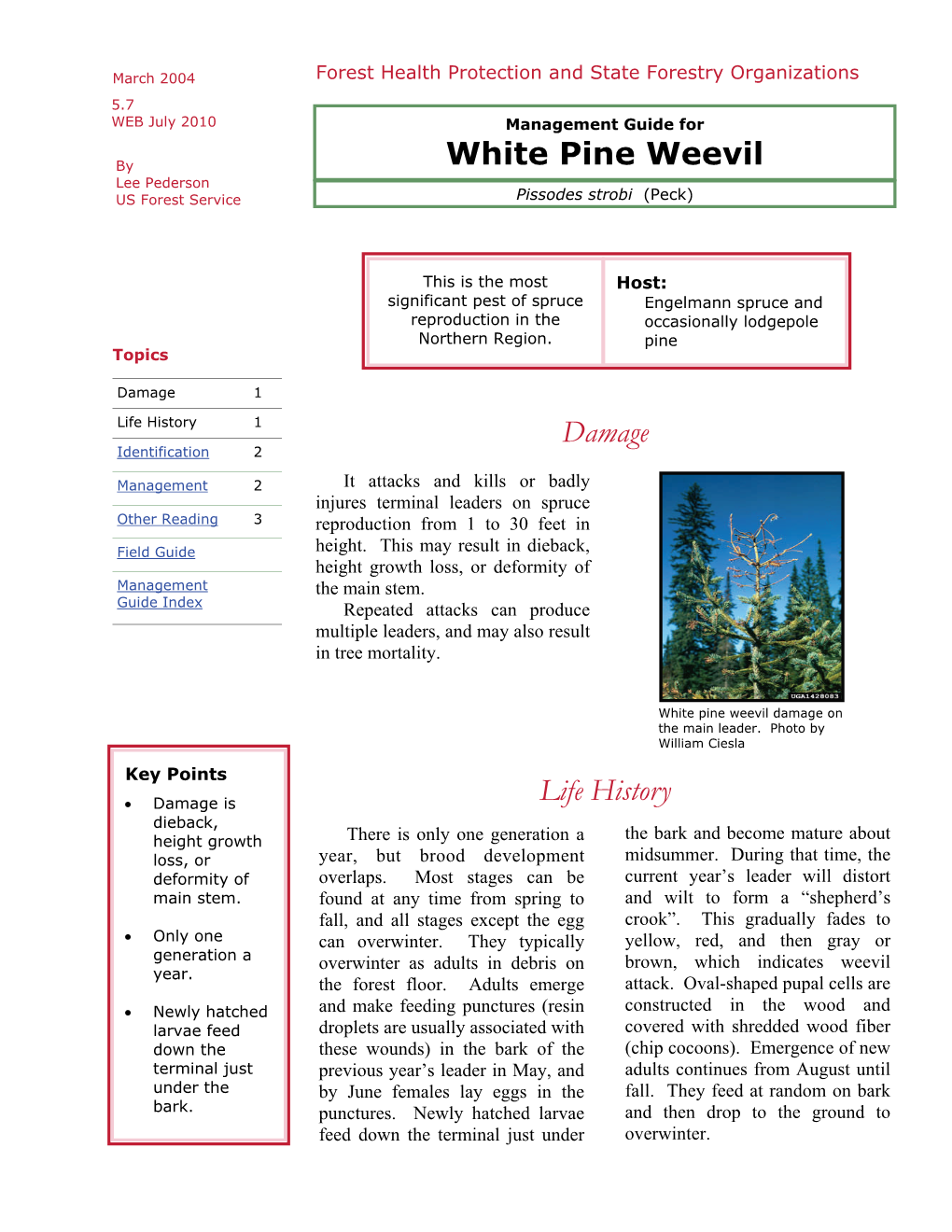 Management Guide for White Pine Weevil