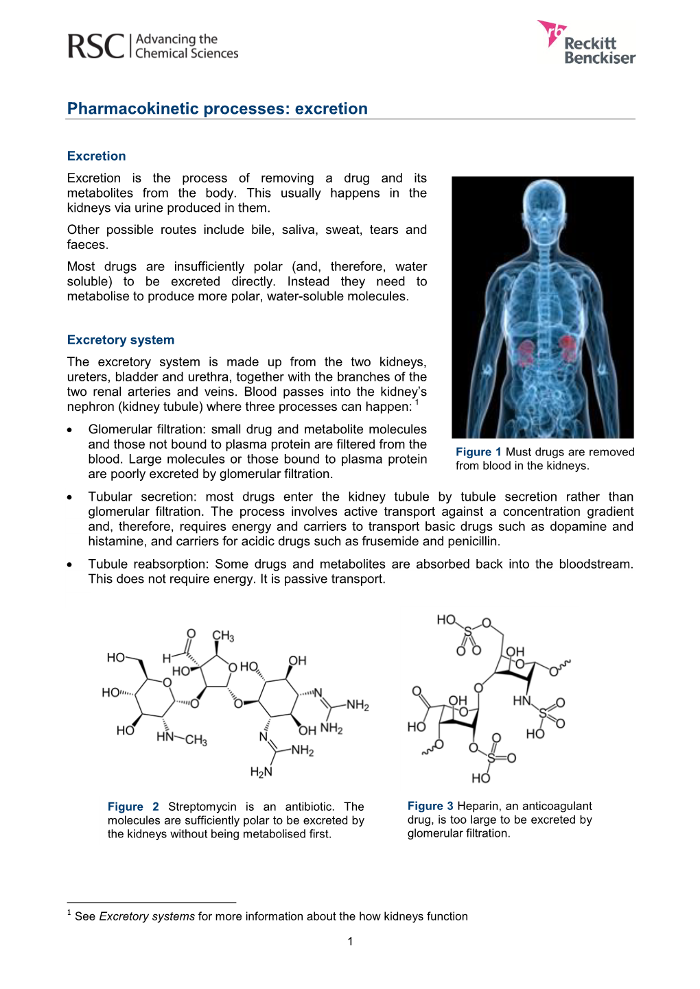 Pharmacokinetic Processes: Excretion