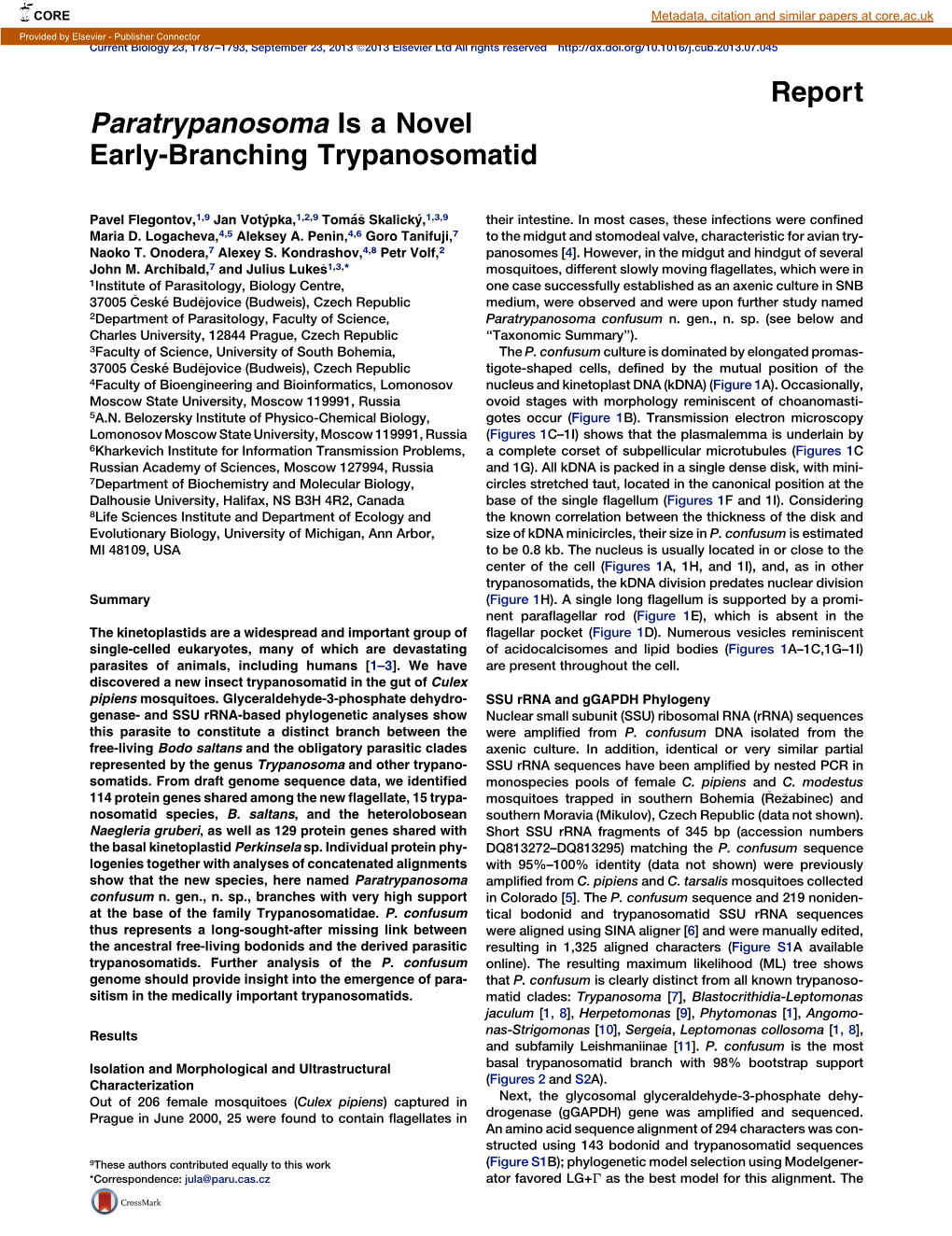 Paratrypanosoma Is a Novel Early-Branching Trypanosomatid