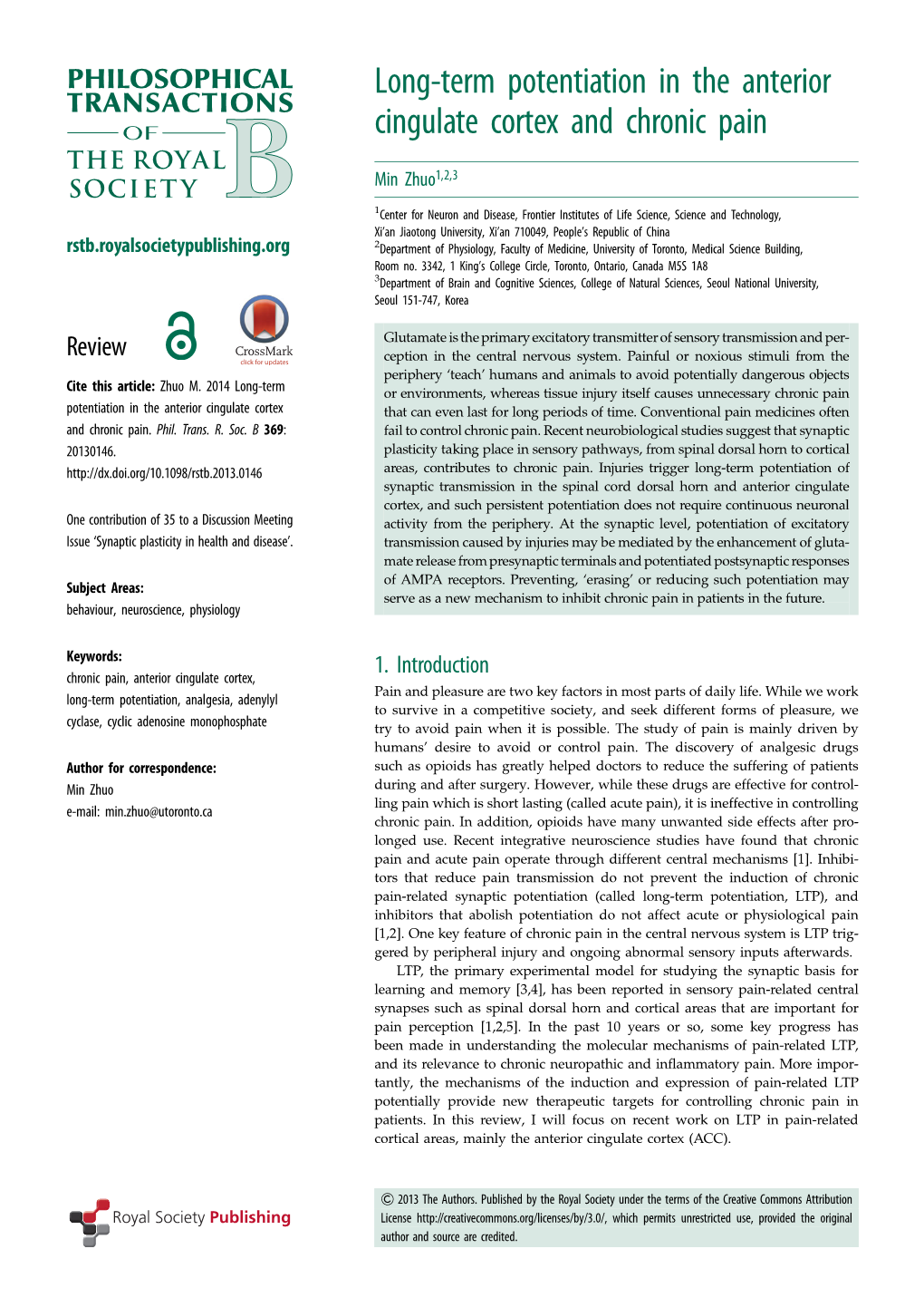 Long-Term Potentiation in the Anterior Cingulate Cortex and Chronic Pain