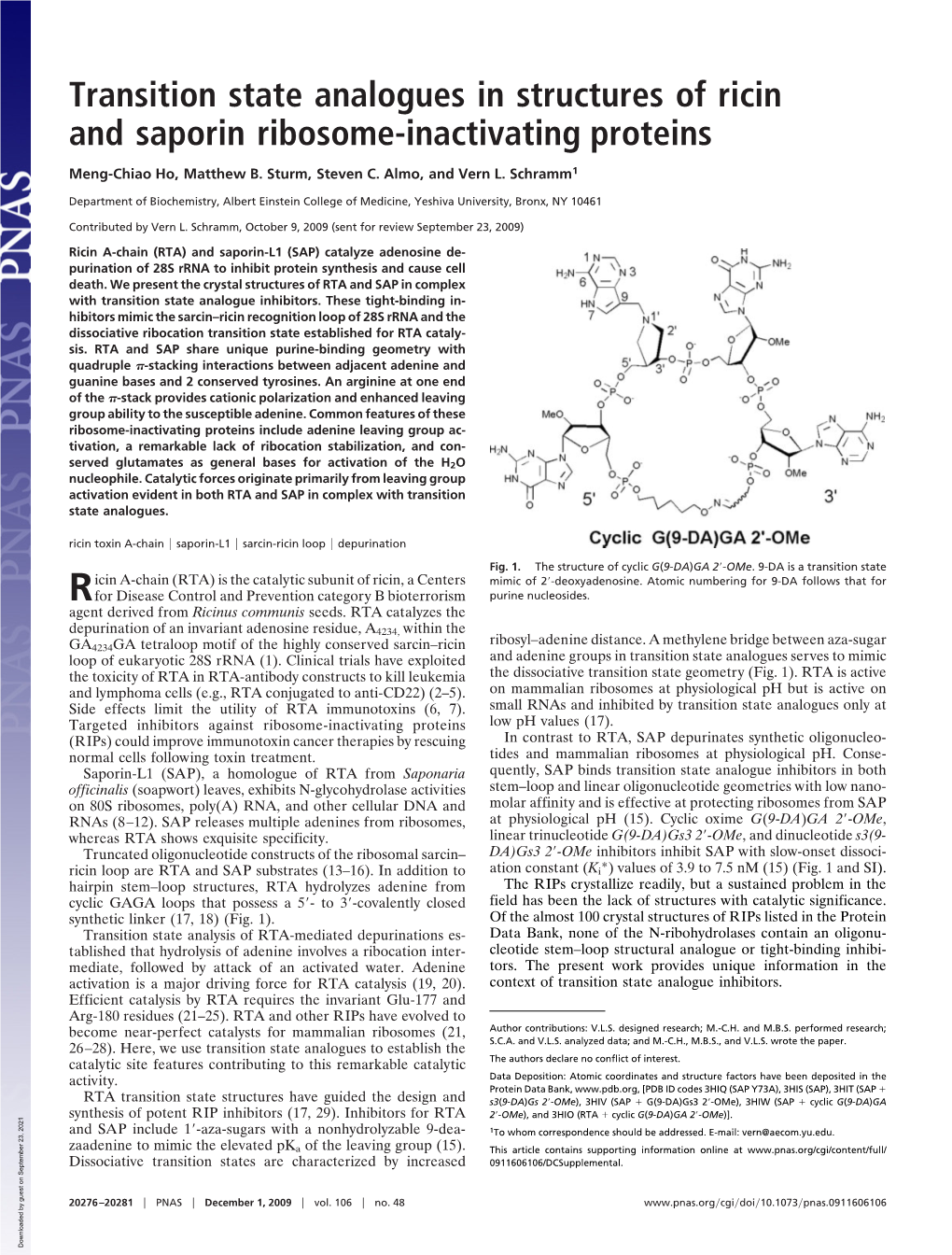 Transition State Analogues in Structures of Ricin and Saporin Ribosome-Inactivating Proteins