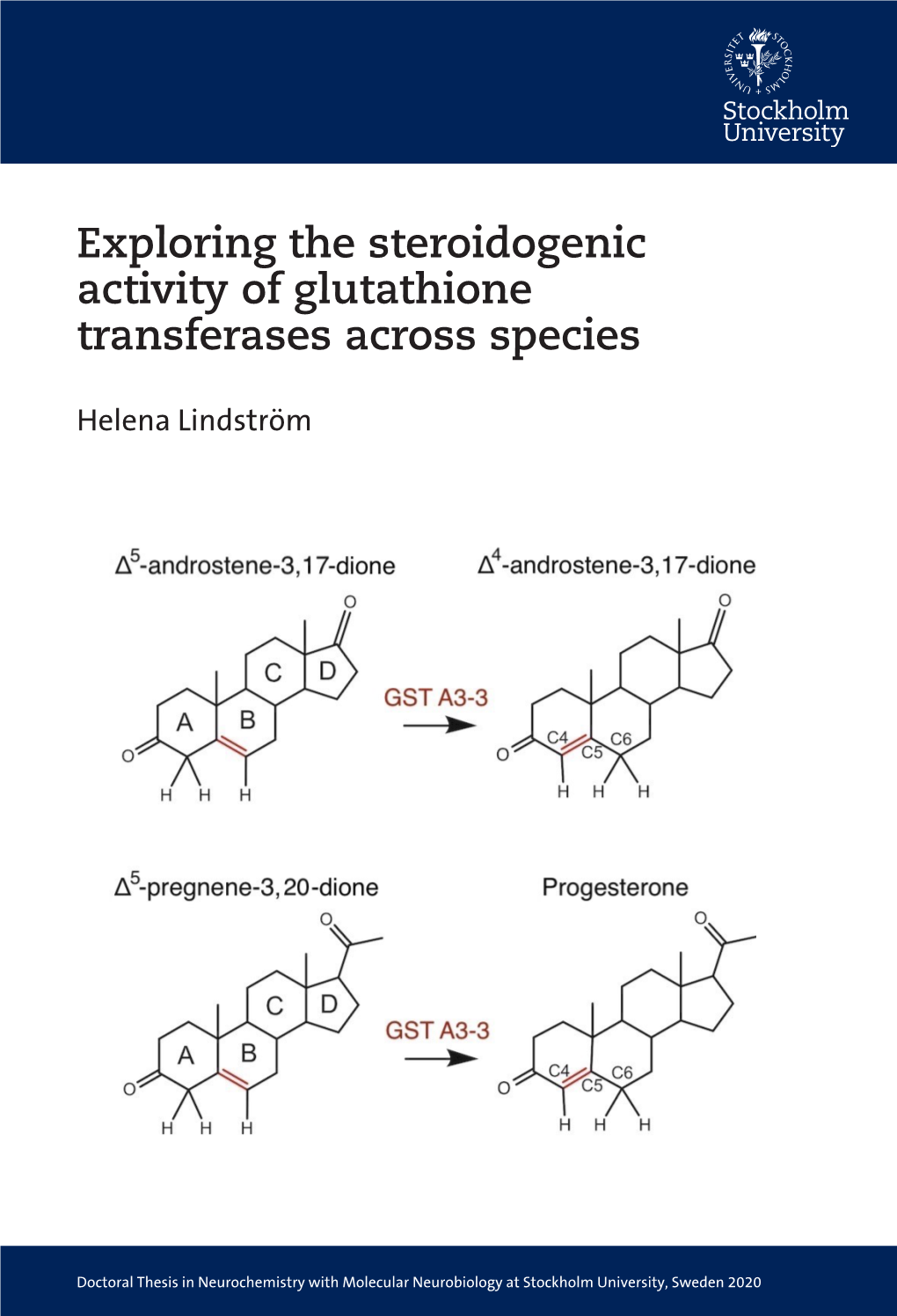 Exploring the Steroidogenic Activity of Glutathione Transferases Across Species