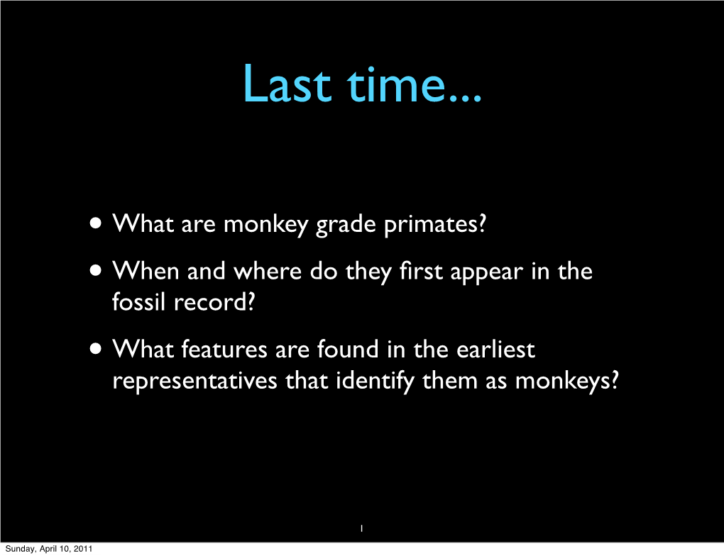 •What Are Monkey Grade Primates? •When and Where Do They First