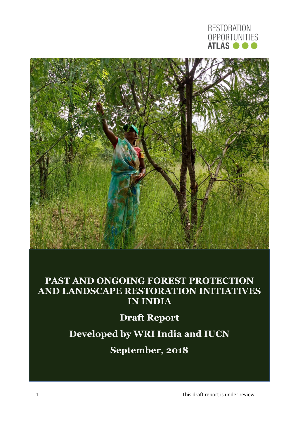 Past and Ongoing Forest Protection and Landscape Restoration Initiatives